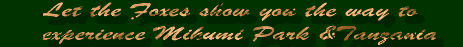 To visit Mikumi wildlife Lodges for incredible wildlife click here.