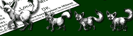 For Wildlife Lodges including the Mikumi wildlife lodges click here.